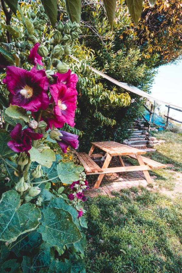 Вилла Agriturismo Dai Gobbi Fara Vicentino Экстерьер фото